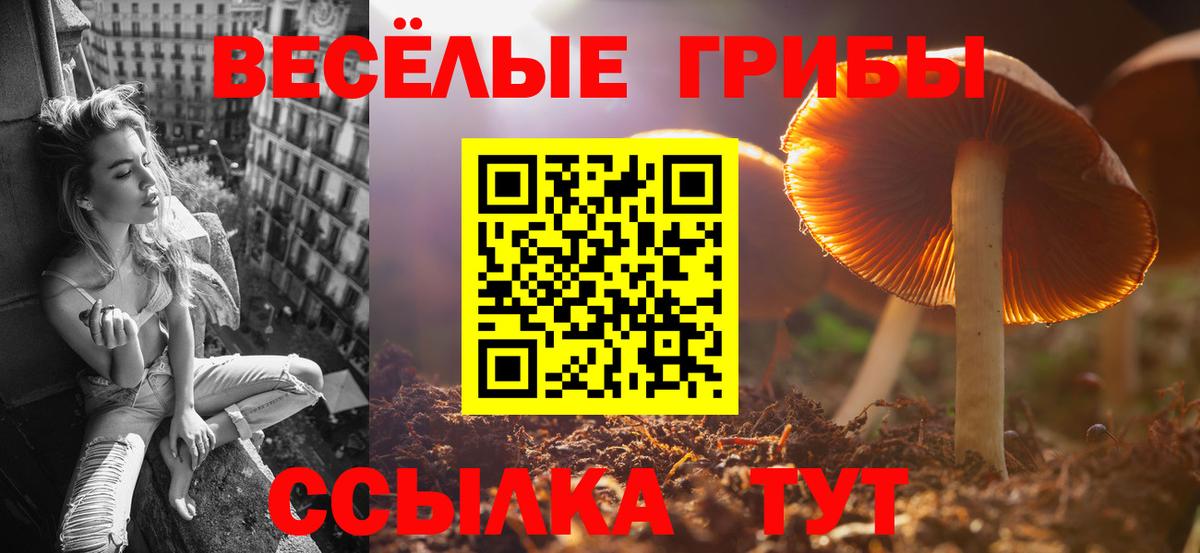 Псилоцибиновые грибы MAGIC MUSHROOMS  Вход с VPN  Псилоцибиновые грибы Psilocybine cubensis  Лениногорск 