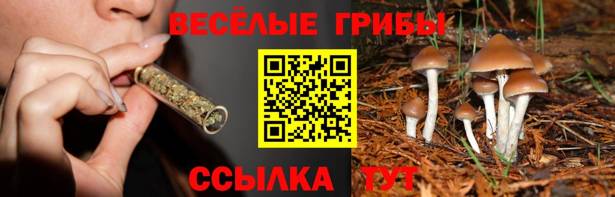 Псилоцибиновые грибы прущие грибы Лениногорск